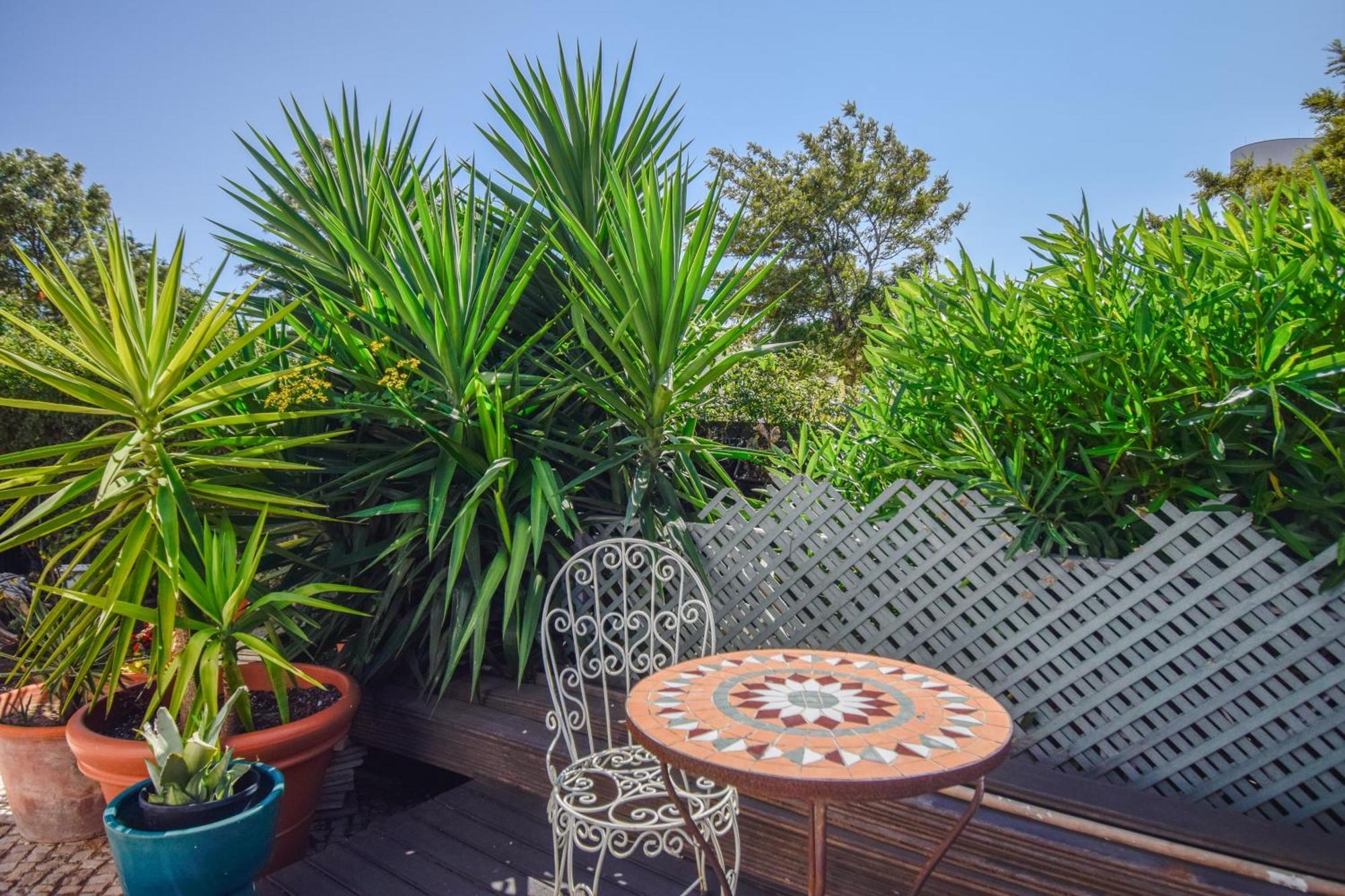 Estoril Prime Stay Dış mekan fotoğraf
